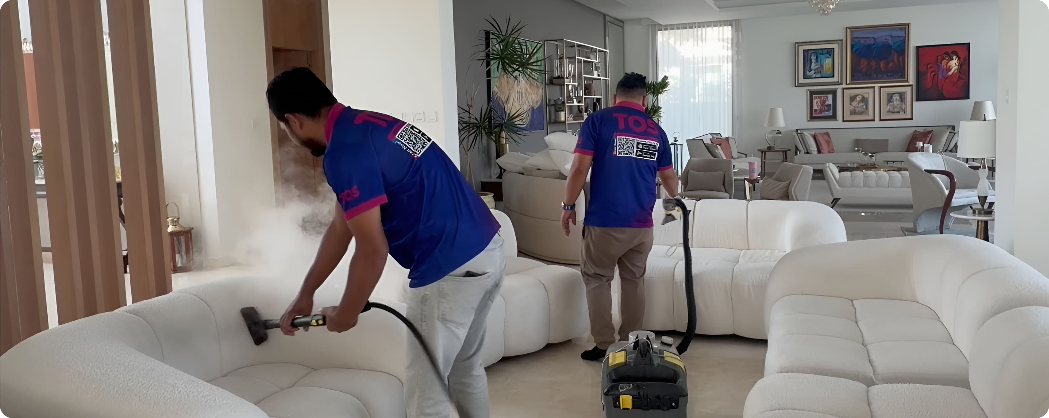 Sofa Cleaning Services